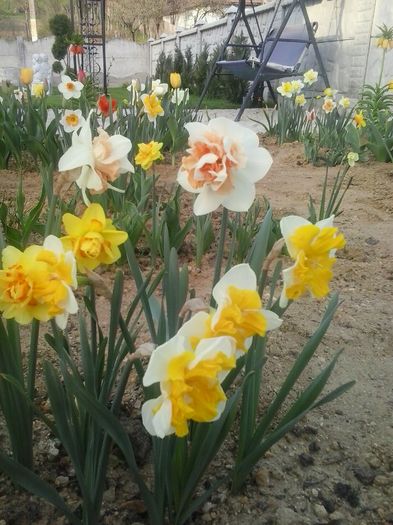 20160405_185407