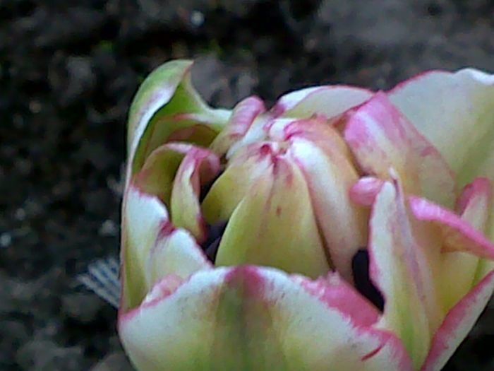 050420162932