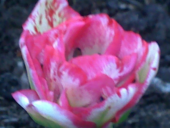 050420162935