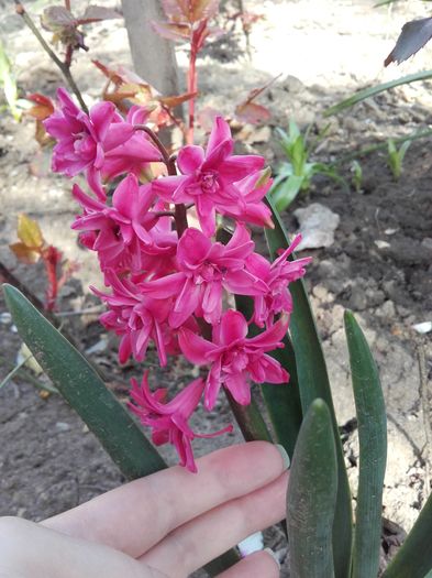 20160405_105452
