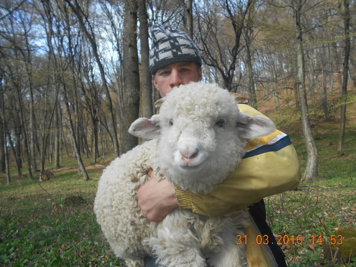 Picture 314 - Productia De Miei 2016