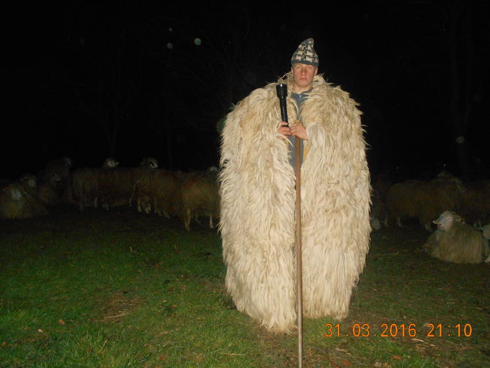 Picture 333 - Productia De Miei 2016