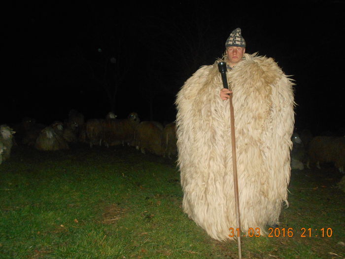 Picture 334 - Productia De Miei 2016