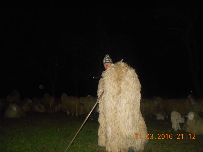 Picture 339 - Productia De Miei 2016