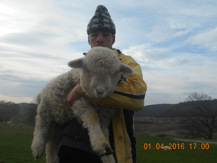 Picture 346 - Productia De Miei 2016