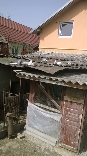 WP_20160406_14_18_13_Pro