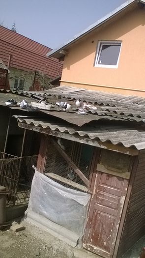 WP_20160406_14_18_36_Pro