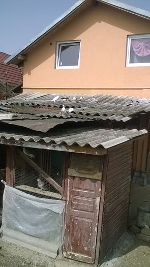 WP_20160406_14_23_19_Pro