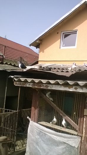 WP_20160406_14_24_08_Pro