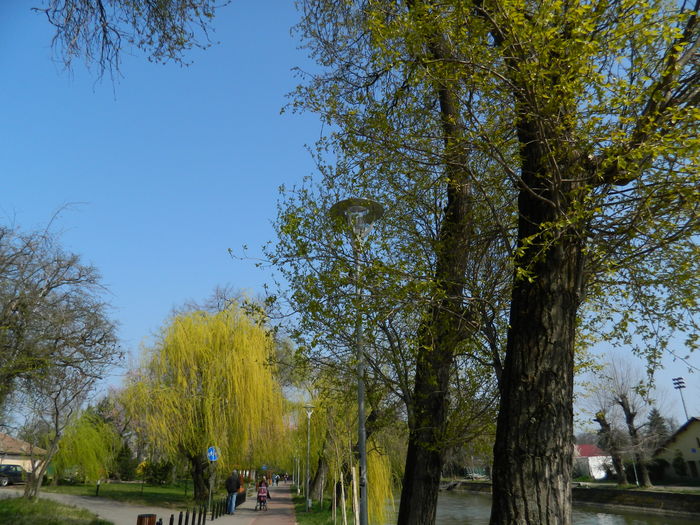 DSCN1905 - 2016 TIMISOARA_PRIMAVARA