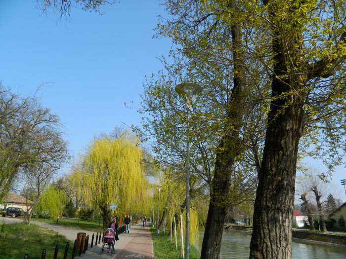 DSCN1906 - 2016 TIMISOARA_PRIMAVARA