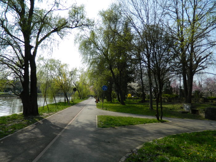 DSCN1939 - 2016 TIMISOARA_PRIMAVARA