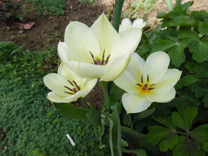 027