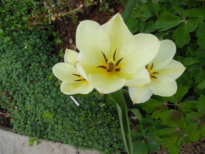 028