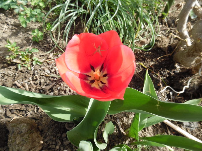 034