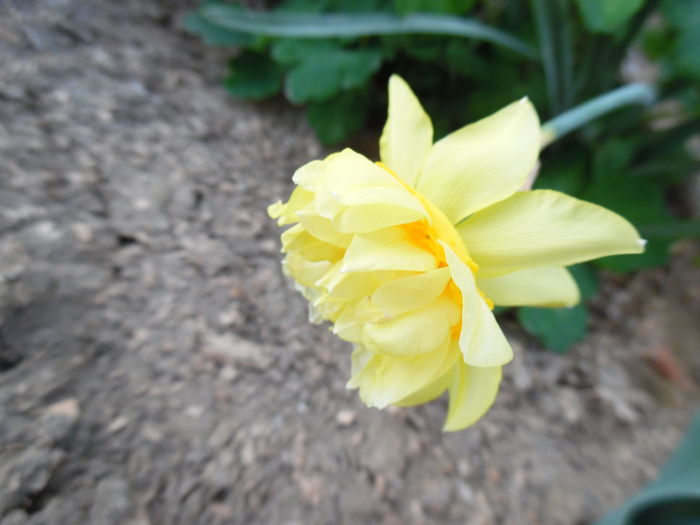 056