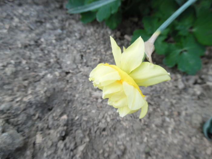 057