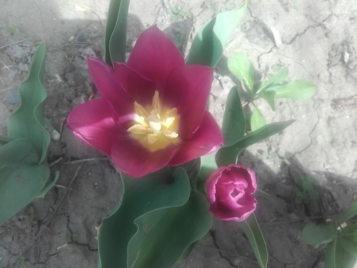 20160406_133751