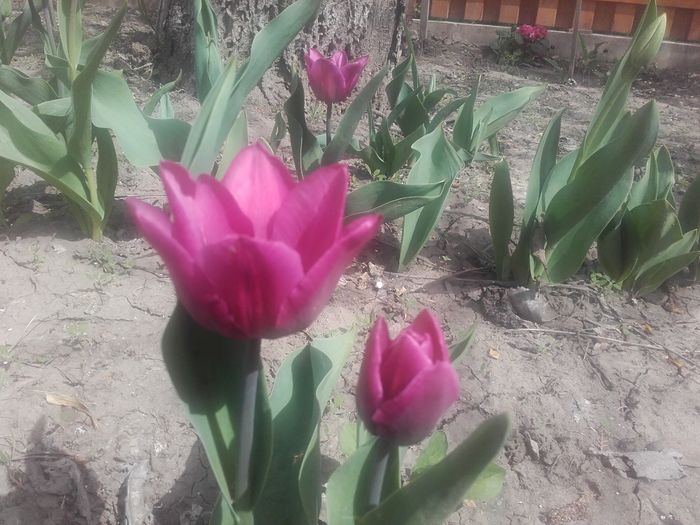 20160406_133805