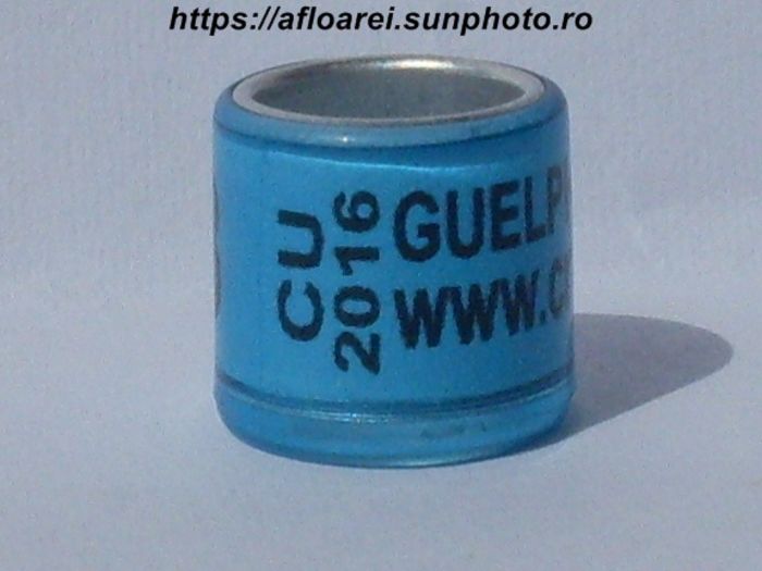 cu guelp 2016 - CANADA