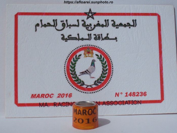maroc 2016.