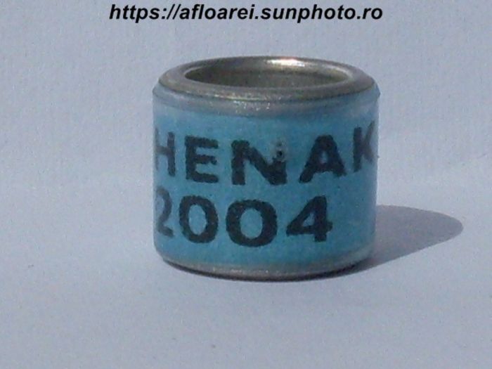 henak 2004