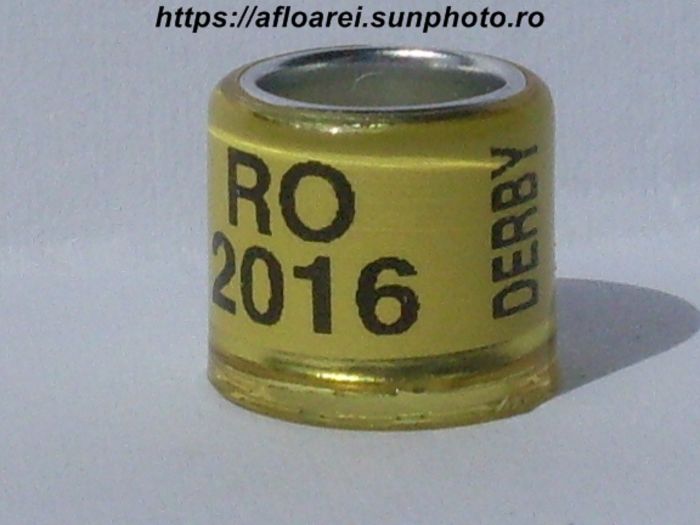ro 2016 derby
