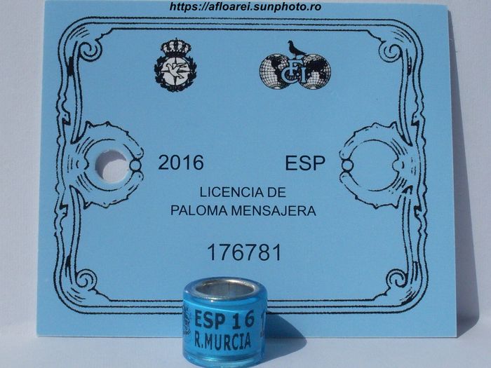esp r.murcia 16