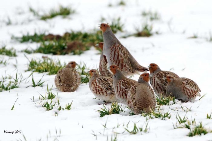 FB_IMG_1459973321884