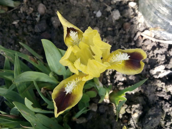 IMG_20160407_094911 - 2016 Primavara