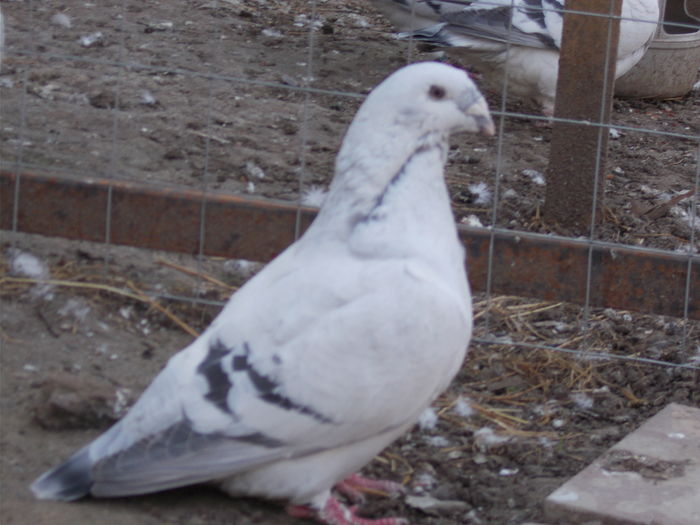 DSCN0513