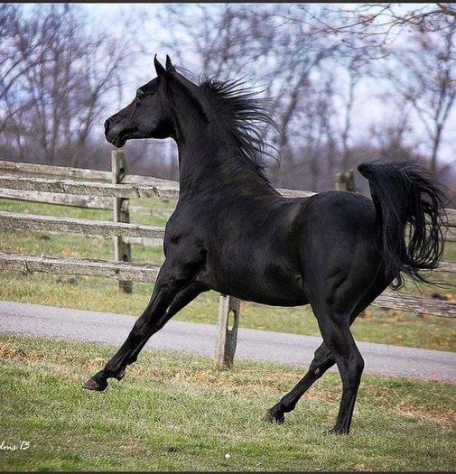 FB_IMG_1460039074048