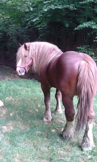 FB_IMG_1460038876180