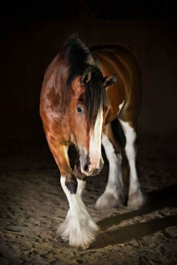 FB_IMG_1460038065849