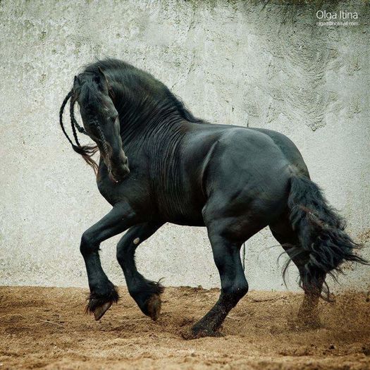 FB_IMG_1460037971158