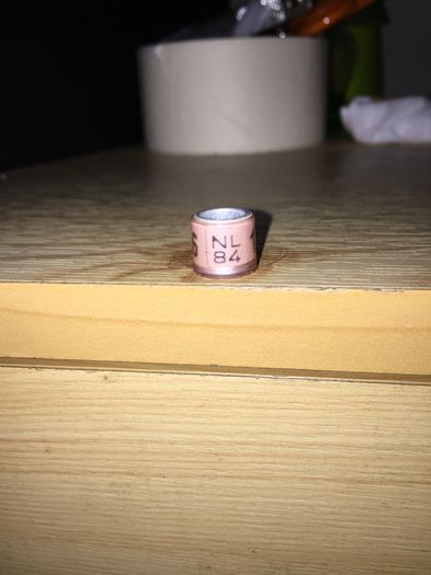 Olanda - Colectia 1 inele porumbei