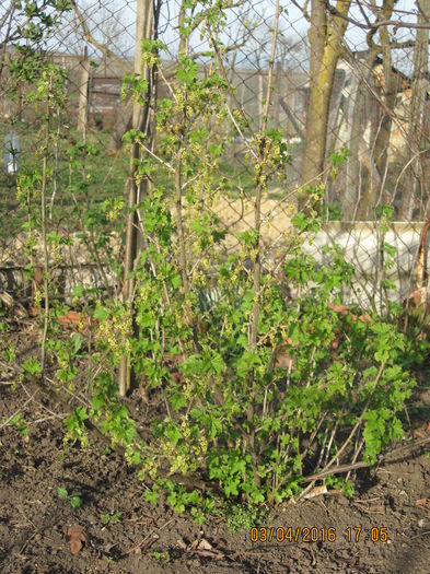 03.04.2016 a inceput un nou ciclu..