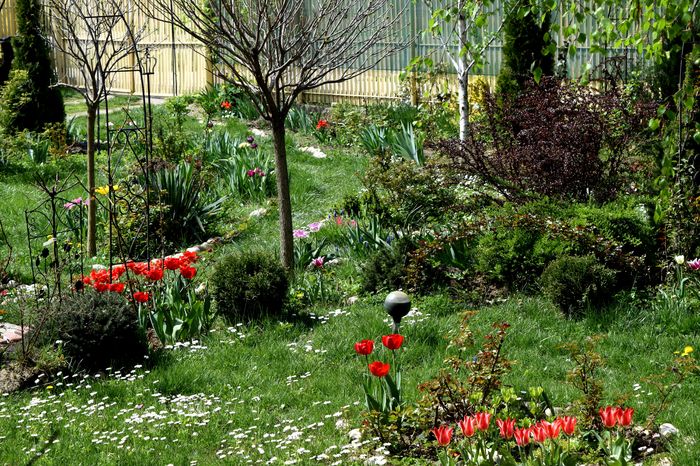 DSC_0055 - 2016 Gradina rozelor_Apr
