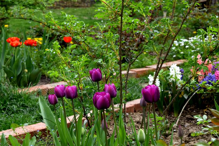 Hidden garden