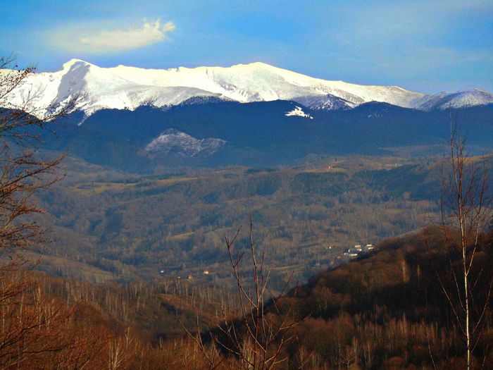 DSC04099