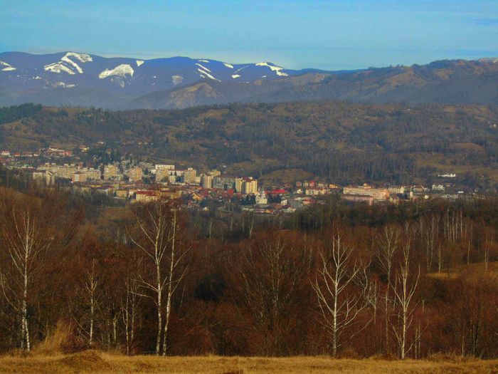 DSC04100 - Primavara 2016