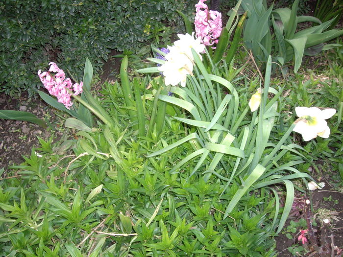 IMGP9159