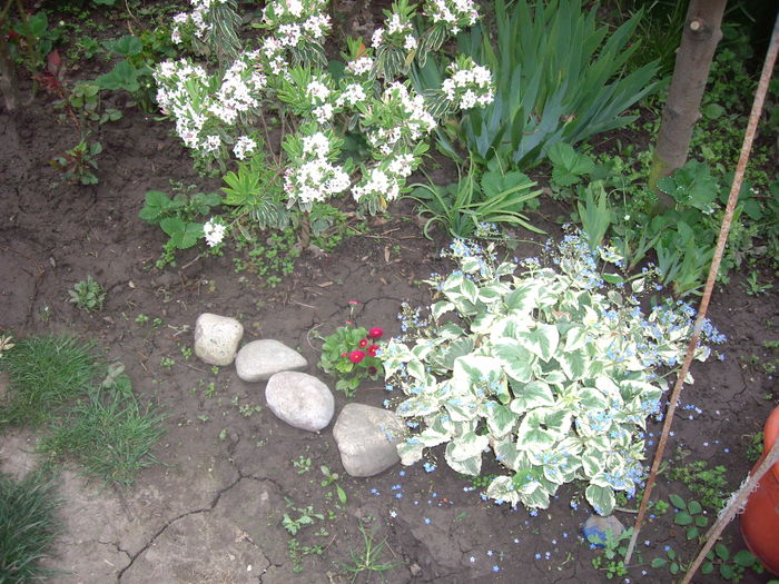 IMGP9185