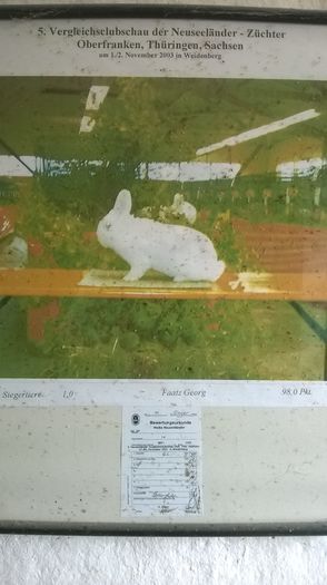 Un mascul de 98 Puncte