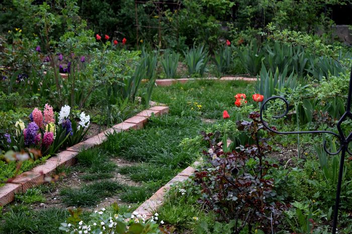 Hidden garden