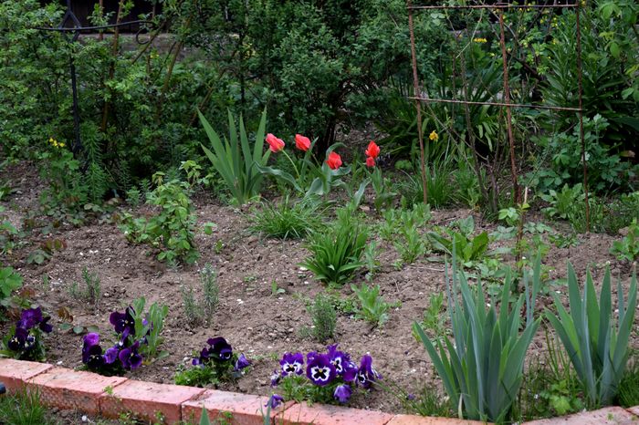 Hidden garden