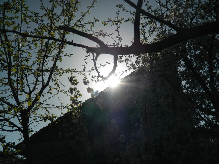 DSCN4189 - 2016 APRILIE