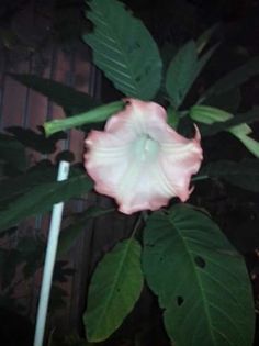 FB_IMG_1460179478176