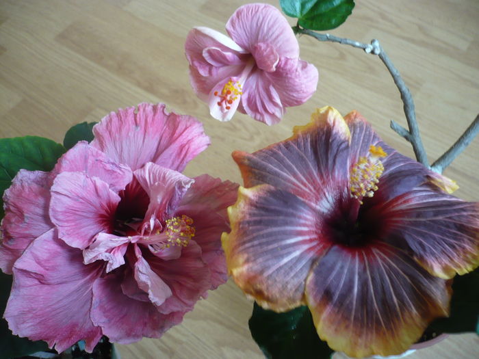 P1250684