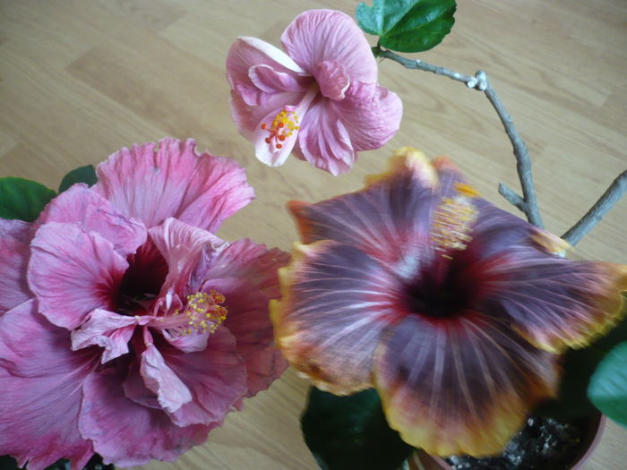 P1250685